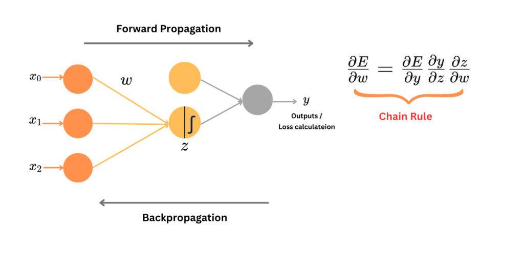 Simplified Multi-Layer Network (Backward Propagation)