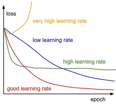 Effect of learning rates on model's convergence