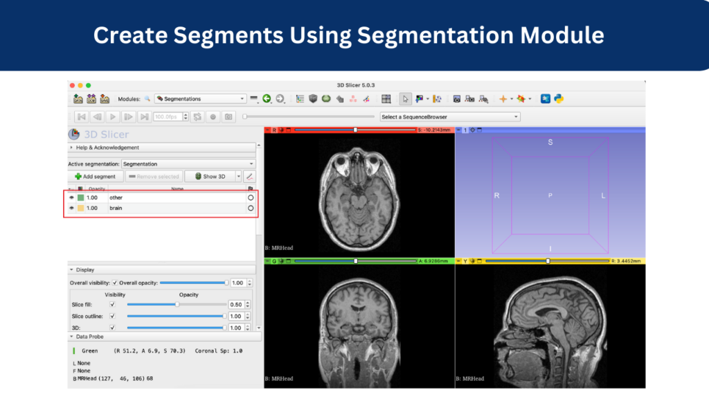 create segments using segmentation module