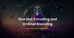 Read more about the article One-Hot and Ordinal Encoding for Features and Labels