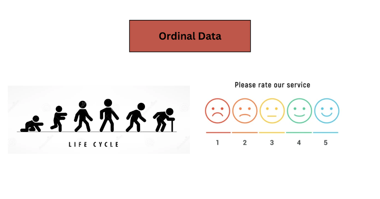 ordinal qualitative feature